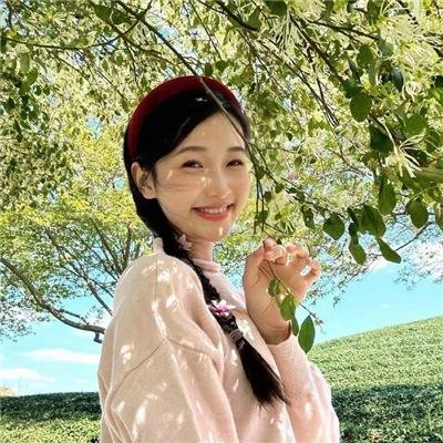 李卫当官1